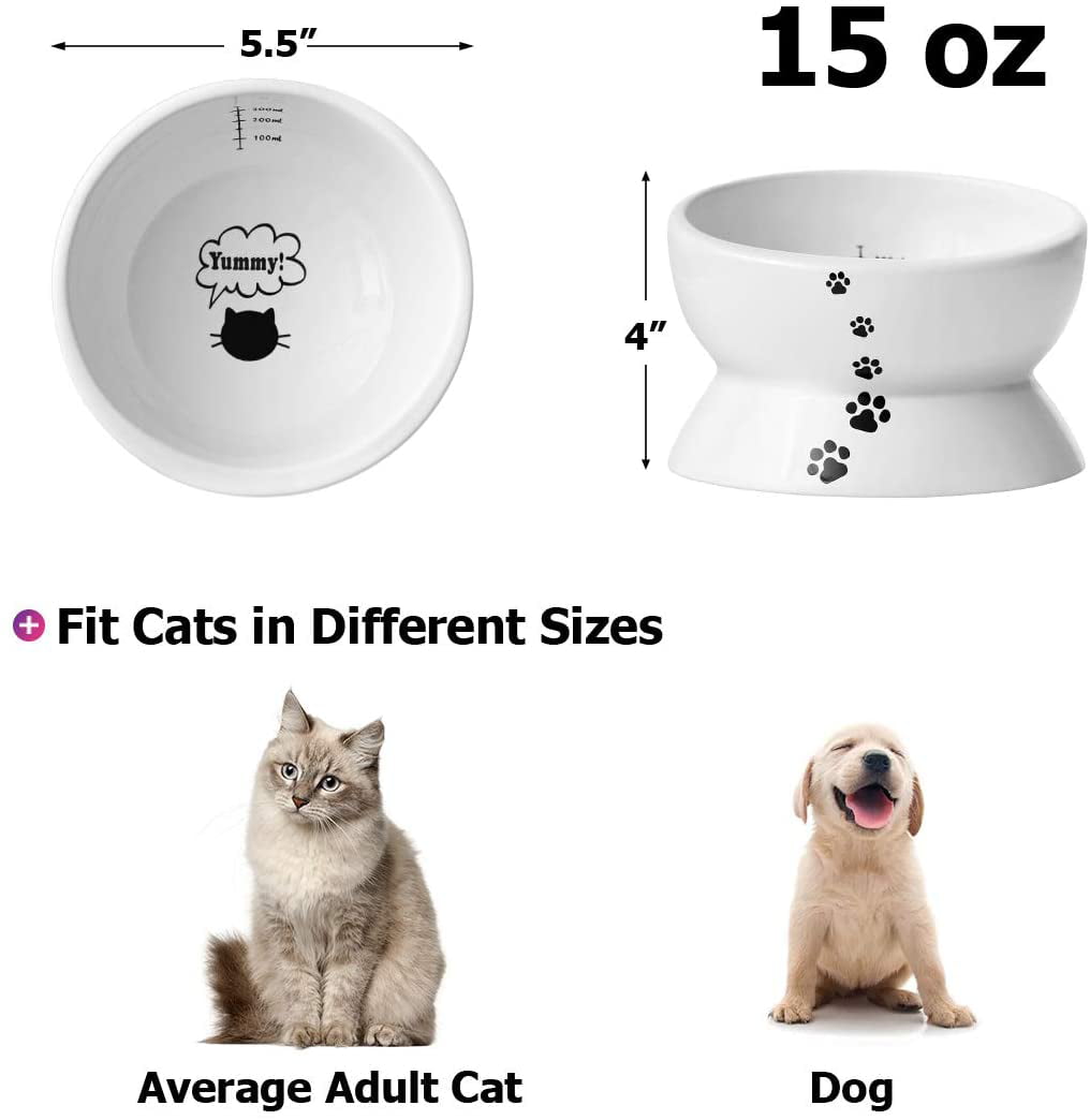 Cat Dog Automatic Water and Food Bowls Cat Gravity Water Bowl - 15° Tilted  Elevated Pet