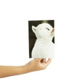 thumbnail image 4 of What Do You Meme?® Greeting Cards - Congratulations Card (Sheep), 4 of 5