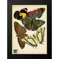 thumbnail image 2 of Vintage Apple Collection 18x24 Black Modern Framed Museum Art Print Titled - Papillons_12, 2 of 5