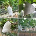 thumbnail image 5 of 100Pcs Fruits Protect Bag Garden Netting Bags Plant Net Bags Grape Protective Cover Bags 8 x 7 Inch Non-Woven Against Insect Pest Bird, 5 of 8