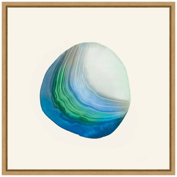 Amanti Art Metamorphism III Framed Canvas Wall Art Print