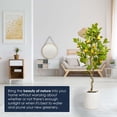 thumbnail image 2 of American Art Decor Realistic Artificial Lemon Tree Faux Plant in a white pot for Home Decor, Indoor Living Room, or Office, 60", 2 of 7