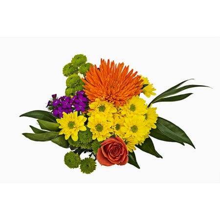 Grower2Buyer Fresh Cut Flowers; Fusion Mixed Bouquet; 6 Stem Bunch