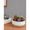 thumbnail image 5 of White Ceramic Bonsai Plant Pot with Bamboo Tray - Decorative, 5 of 5