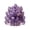 Purple, variant on Dserhfy Natural Stone Nine-tailed Foxes Figurine Positive Healing Energy Hand-carved Colorful Faux Crystal Sitting Animal Statue Home Office Desktop Decoration Ornament