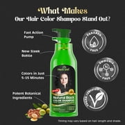 (4 pack) Herbishh Black Color Shampoo for Gray Hair, Permanent, Men & Women (500 ml)
