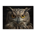 thumbnail image 3 of Designart "Portrait of Black and White Owl" Animals Print on Natural Pine Wood, 3 of 5