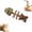 Mix1, variant on Catnip and Silvervine Chew, Catnip & Silvervine Chew Fish, Fish Bone Shaped Chewing, Natural Dental Care Chewing for Cats