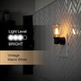 thumbnail image 4 of GE Vintage LED Edison Night Light, Plug-in, Dusk to Dawn, Farmhouse Decor, Mood Lighting, Home Decor, Ambient Lighting, LED Lights for Bedroom, Bathroom, Kitchen, Hallway, Black, 2 Pack, 71349, 4 of 4