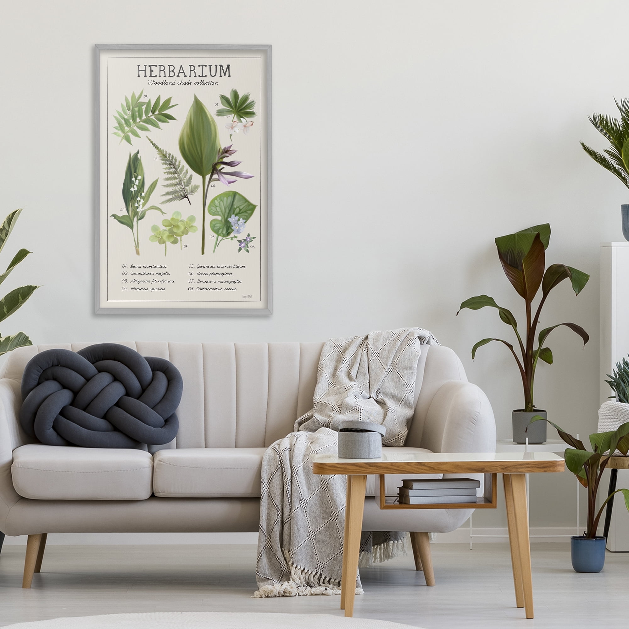 Stupell Industries Herbarium Woodland Shade Collection Gray Framed Giclee Art, design by House Fenway