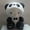 25cm5, variant on Original Sanrioed Plushies Hellos Kittys Cinnamonroll Kuromi Pochacco Stuffed Plush Doll Cute Toys Children Birthday Gifts