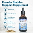 thumbnail image 3 of BladderPro - Herbal Bladder Supplement for Men & Women w/ Pumpkin Seed | by Rejuvica Health | 3-Pack, 3 of 6