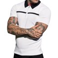 thumbnail image 1 of XDZJLR Mens Shirts Muscle Turn Down Color Block Slim Fit Short Sleeve Striped Golfs Zipper Soft Tops, 1 of 5