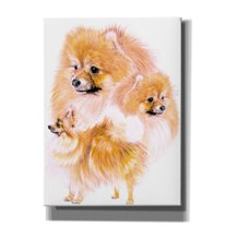 Epic Graffiti 'Pomeranian' by Barbara Keith, Canvas Wall Art, 40"x54"