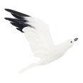 thumbnail image 4 of pájaro volador gaviota Vivo Gaviota Aves Estatua Jardín Escultura Colgante De Pared Arte Creativo Decoración Náutica - L, 4 of 8