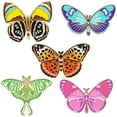 thumbnail image 1 of MasteelfCA 5pcs Insect Pins Butterfly Moth Brooch Pin Decorative Pin for Backpacks Clothing, 1 of 8