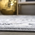 thumbnail image 6 of JONATHAN Y MODERN PERSIAN 2 x 8 Runner Rug, Cherie French Cottage - Gray/Cream, MDP505B-28, 6 of 10