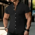 thumbnail image 2 of Men's Tshirts Short Sleeve Casual Lapel Neck Solid Color Blouse Short Sleeve Casual Funny Hawaiian Shirts Lapel Button Tops, 2 of 5