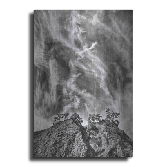 Luxe Metal Art 'Tree Island Clouds B&W Pushed' by Thomas Haney, Metal Wall Art, 16"x24"