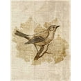 thumbnail image 2 of Studio, Sd Graphics 15x18 Gold Ornate Wood Framed with Double Matting Museum Art Print Titled - Vintage Bird II, 2 of 4