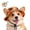 Orange, variant on Outdoor Sun Hat for Pets, Cute Adjustable Dog Sun Hat with Ear Holes for Small Big Cats Dogs, Breathable Pet Bonnet for Beach Summer Walks