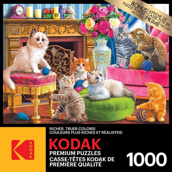 Casse-tête Kodak de 1000 pièces - Cheminée aux chatons