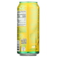 thumbnail image 4 of Pack of 12, Guayaki Enlighten Mint Organic Yerba Mate, 15.5 fl oz, 4 of 5