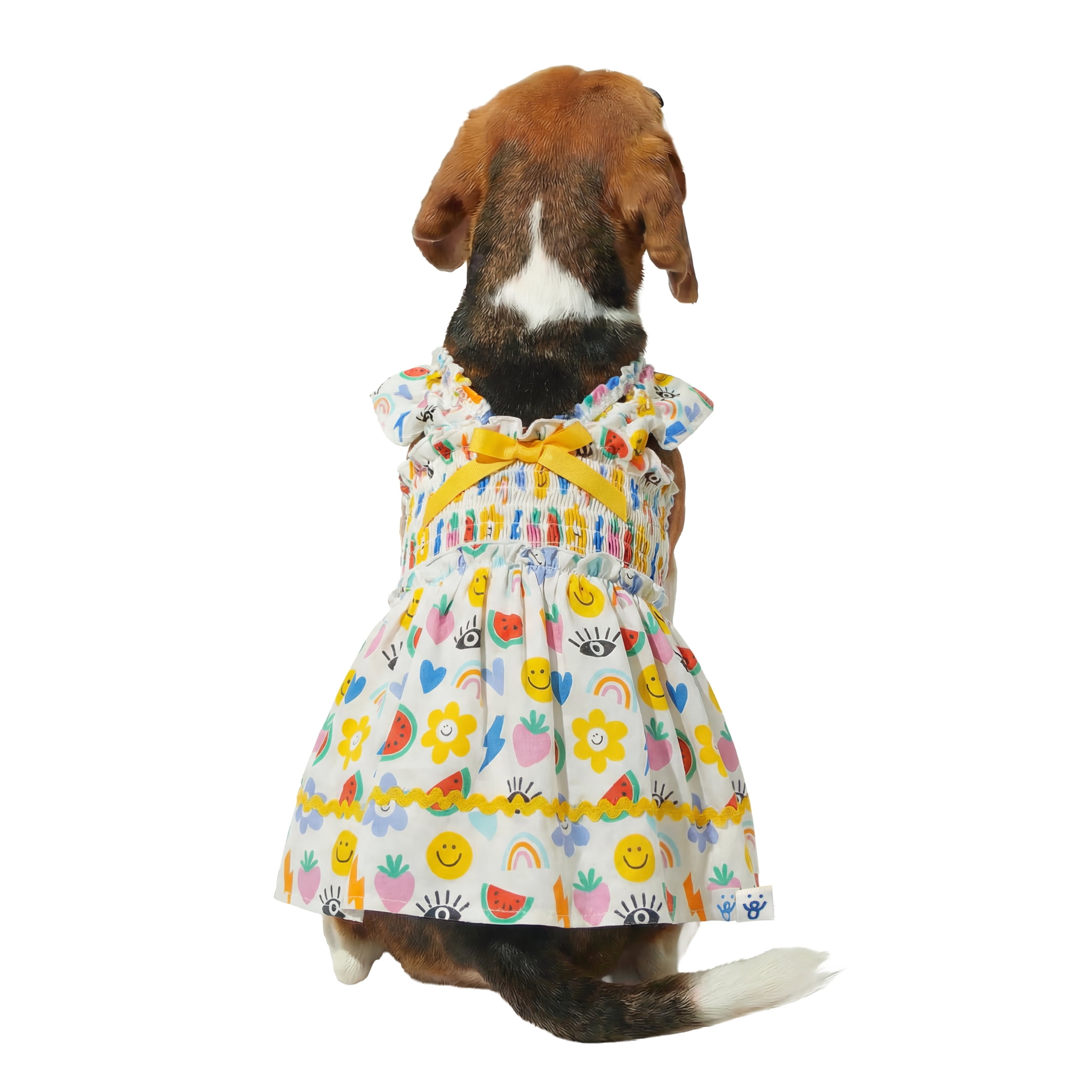 Oodles Multi-Colored Sassy Summer Icons Ruffled Spring Dog Dress, Medium