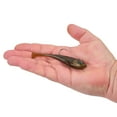thumbnail image 2 of Berkley PowerBait® Power® Switch, 4.25 in, Green Pumpkin, 2 of 4