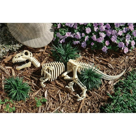 Raptor Skeleton Garden Sculpture
