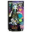 thumbnail image 6 of Monster High Scare-adise Island Frankie Stein Fashion Doll with Swimsuit & Accessories, 6 of 6