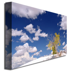 Trademark Art "Clouds and Loneliness" Canvas Art by Philippe Sainte-Laudy