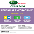 thumbnail image 4 of Scotts Turf Builder Grass Seed Perennial Ryegrass Mix, 7 lbs., 4 of 6