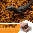 thumbnail image 5 of RediChip Coconut Chip Substrate for Reptiles 36 Quart Loose Medium Sized Coconut Husk Chip Reptile Bedding for Snakes, Tortoises, Geckos, Frogs, or Lizard Terrarium Tanks, 5 of 6