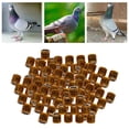 thumbnail image 4 of 100Pcs 2022 Aluminium Dove Racing Pigeon Foot Rings Bands 8mm Orange, 4 of 8