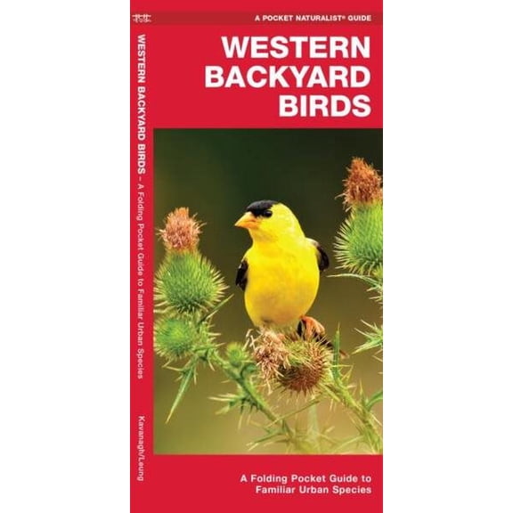 Regional Nature Guides: Western Backyard Birds: A Folding Pocket Guide to Familiar Urban Species (Other)