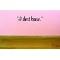 thumbnail image 1 of Custom Decals I Don't Know. Wall Art Size: 6 X 20 Inches Color: Black, 1 of 1