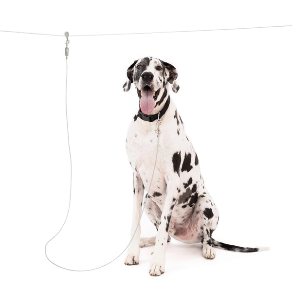 Prevue Pet Products 2117 Heavy-Duty Anbindekette – 6 M Länge, 3,8 Mm Durchmesser, Für Hunde Bis 68 Kg