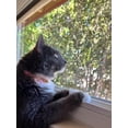 thumbnail image 2 of Xekoro 2Pack Breakaway Cat Collar, Soft Cotton Kitten Cat Collars with Cute Bow Tie for Male Female Kitty Kitten, Ideal for Girl Cats Boy Male Cats, 2 of 7
