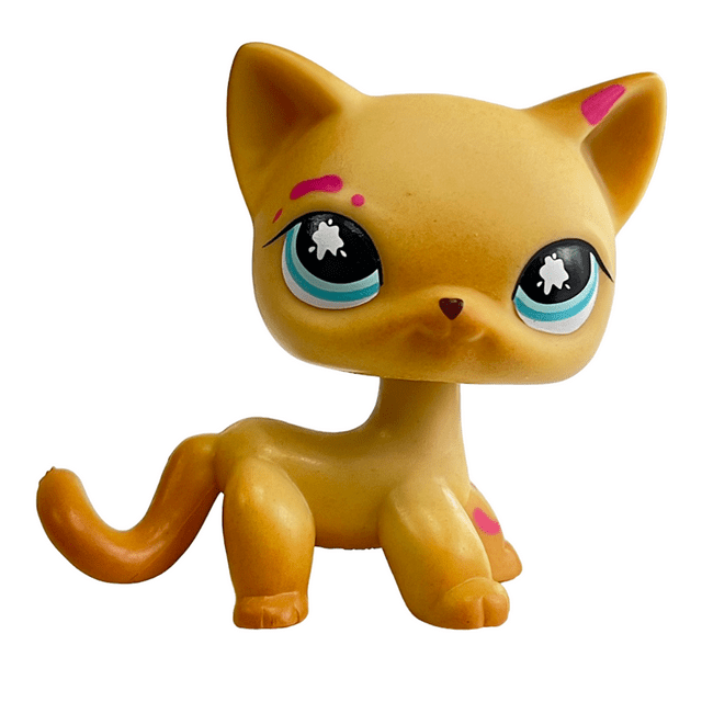 Jouet pour Animaux Rares Mignon, Jouet pour Animaux de Compagnie, Support pour Chien Teckel Colley Cocker Épagneul, Jouet pour Chat à Poils Courts