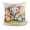G, variant on Deeceymbur 18x18 Inch Easter Pillow Cover with Drawable Surface Hidden Zipper for Sofa Bedroom Office Indoor Outdoor Holiday Decor