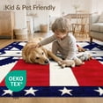 thumbnail image 4 of ODIKA Front Patriotic Door Striped Spangled Bold Generic Stars Vintage for Dorm Room, Small Living Apartment, Stain Resistant Low Profile, 4 of 7