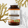 Secrets of the Tribe Bladderwrack 120 Capsules, 500 mg, Organic Bladderwrack (Fucus Vesiculosus) Dried Root