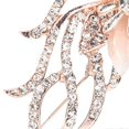 thumbnail image 3 of Broche élégante en alliage avec strass pour femme, accessoire de décoration de vêtements, 3 of 4