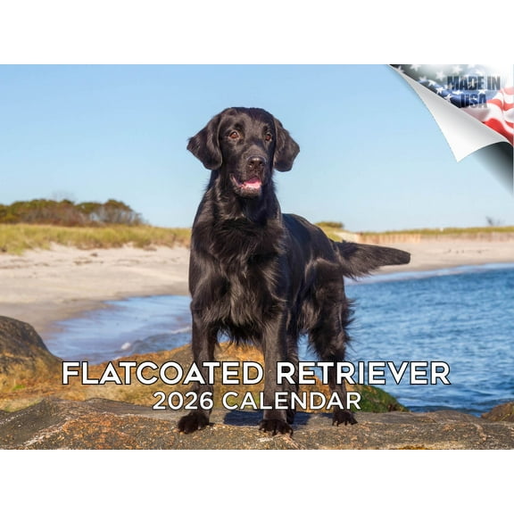 2025 2026 Flatcoated Retriever Calendar - Dog Breed Monthly Wall Calendar - 12 x 18 Open - Thick No-Bleed Paper - Giftable - Made in USA