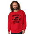 thumbnail image 4 of Sarcastic Property of Awesome Dude Men's Big & Tall Crewneck Sweatshirt Brisco Brands 5X, 4 of 5
