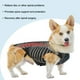 thumbnail image 4 of Soporte para espalda para perros Almohadils para espalda para M Yuyangstore Soporte en la espalda, 4 of 7