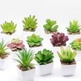 thumbnail image 4 of Plantas artificiales Inteprter suculentas decorativas maceta jardín tipo 4, 4 of 6