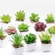 thumbnail image 4 of Plantas artificiales Inteprter suculentas decorativas maceta jardín tipo 4, 4 of 6