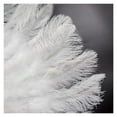 thumbnail image 6 of Feather Fan Hand Held Dance Folding Big Plumes Fans Performance Dance Party Stage Carnival Show Props Long, 6 of 7